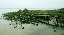 昆山巴城陽澄湖