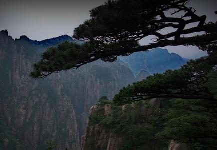 黃山市-上海瑞旭租車