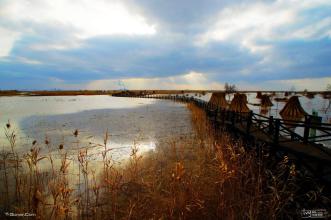 崇明島-上海瑞旭租車